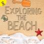 Exploring The Beach - Preview