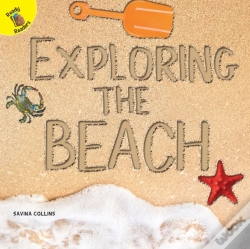 Capa do artigo Exploring The Beach