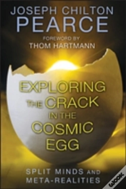 Capa do artigo Exploring The Crack In The Cosmic Egg