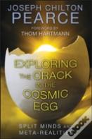 Exploring The Crack In The Cosmic Egg