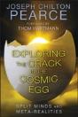 Exploring The Crack In The Cosmic Egg - Preview