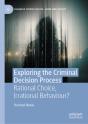 Exploring The Criminal Decision Process - Preview