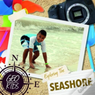 Exploring The Seashore