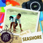 Exploring The Seashore - Preview