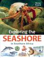 Exploring The Seashore In Southern Africa - Preview