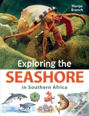 Capa do artigo Exploring The Seashore In Southern Africa