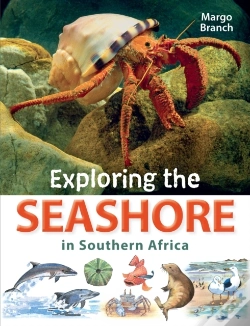Capa do artigo Exploring The Seashore In Southern Africa