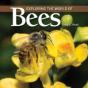 Exploring The World Of Bees - Preview