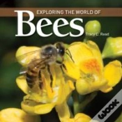 Capa do artigo Exploring The World Of Bees