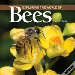 Capa do artigo Exploring The World Of Bees