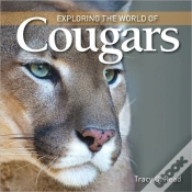 Capa do artigo Exploring The World Of Cougars