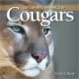 Exploring The World Of Cougars - Preview