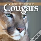 Exploring The World Of Cougars