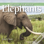 Exploring The World Of Elephants