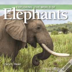 Capa do artigo Exploring The World Of Elephants