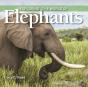 Exploring The World Of Elephants - Preview