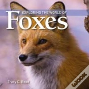 Capa do artigo Exploring The World Of Foxes