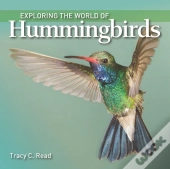 Exploring The World Of Hummingbirds
