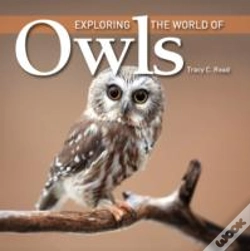 Capa do artigo Exploring The World Of Owls