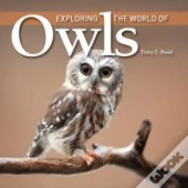 Exploring The World Of Owls