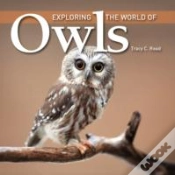 Capa do artigo Exploring The World Of Owls