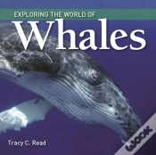 Capa do artigo Exploring The World Of Whales