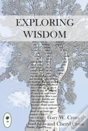 Capa do artigo Exploring Wisdom