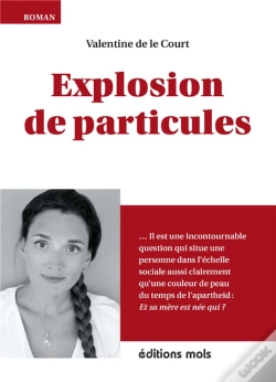 Capa do artigo Explosion De Particules