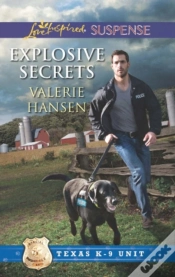 Capa do artigo Explosive Secrets