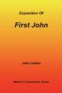 Exposition Of First John - Preview