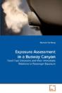 Exposure Assessment In A Busway Canyon - Preview
