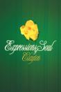 Expressions Of Soul - Preview