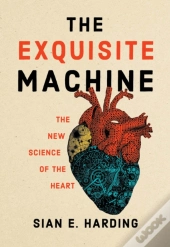Exquisite Machine