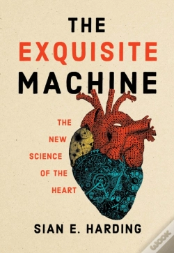 Capa do artigo Exquisite Machine