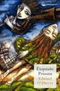 Exquisite Prisons - Preview