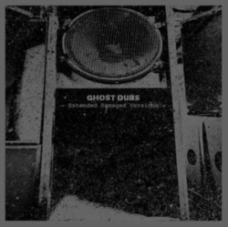 Capa do artigo Extended Damaged Versions - Vinil