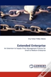 Capa do artigo Extended Enterprise