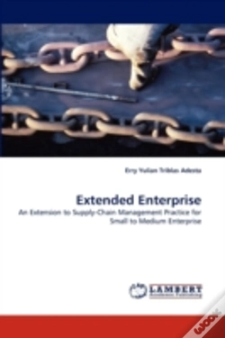 Capa do artigo Extended Enterprise