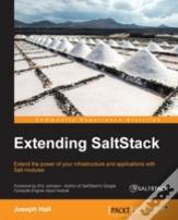 Extending Saltstack