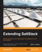 Extending Saltstack - Preview