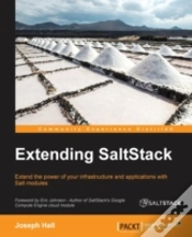 Capa do artigo Extending Saltstack