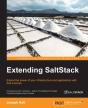 Extending Saltstack - Preview