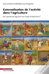 Externalisation De L'Activité Dans L'Agriculture : De L'Opportunité Migratoire Aux Risques D'Exploitation ?
