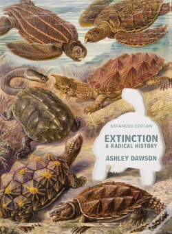 Capa do artigo Extinction