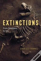 Capa do artigo Extinctions