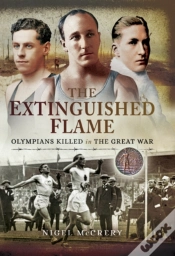 Capa do artigo Extinguished Flame