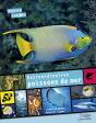 Extraordinaires Poissons De Mer - Preview