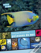 Extraordinaires Poissons De Mer