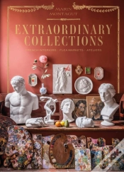 Capa do artigo Extraordinary Collections