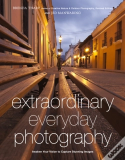 Capa do artigo Extraordinary Everyday Photography